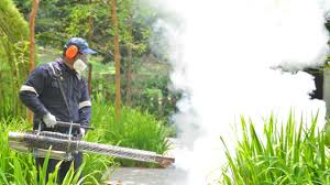 Best Fumigation Services  in Paxton, IL